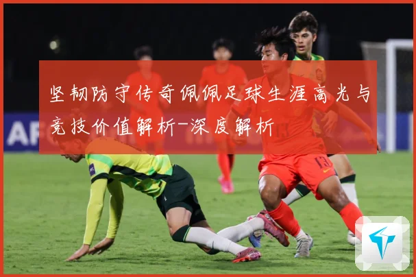 坚韧防守传奇佩佩足球生涯高光与竞技价值解析-深度解析