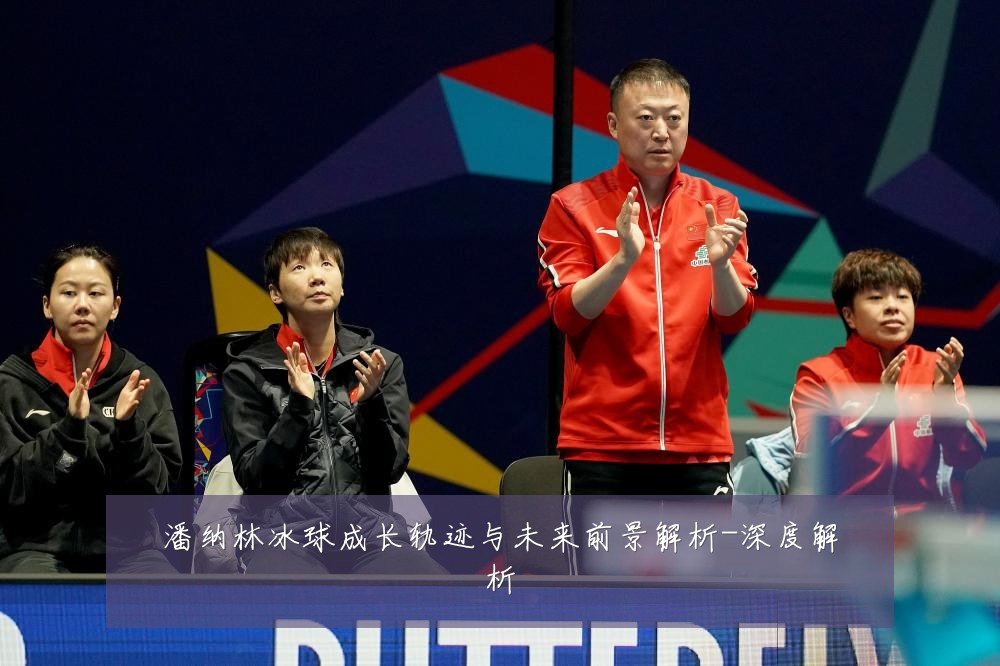 潘纳林冰球成长轨迹与未来前景解析-深度解析
